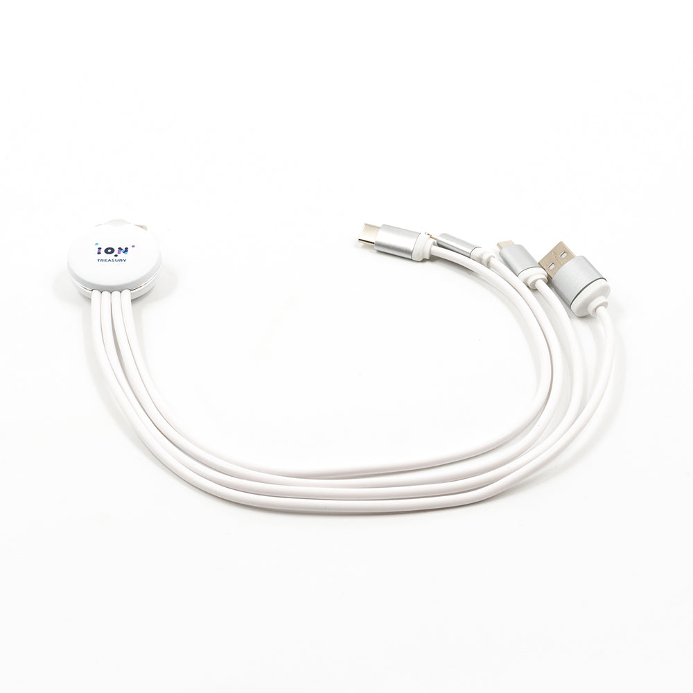 Treasury - 4in1 Charging Cable