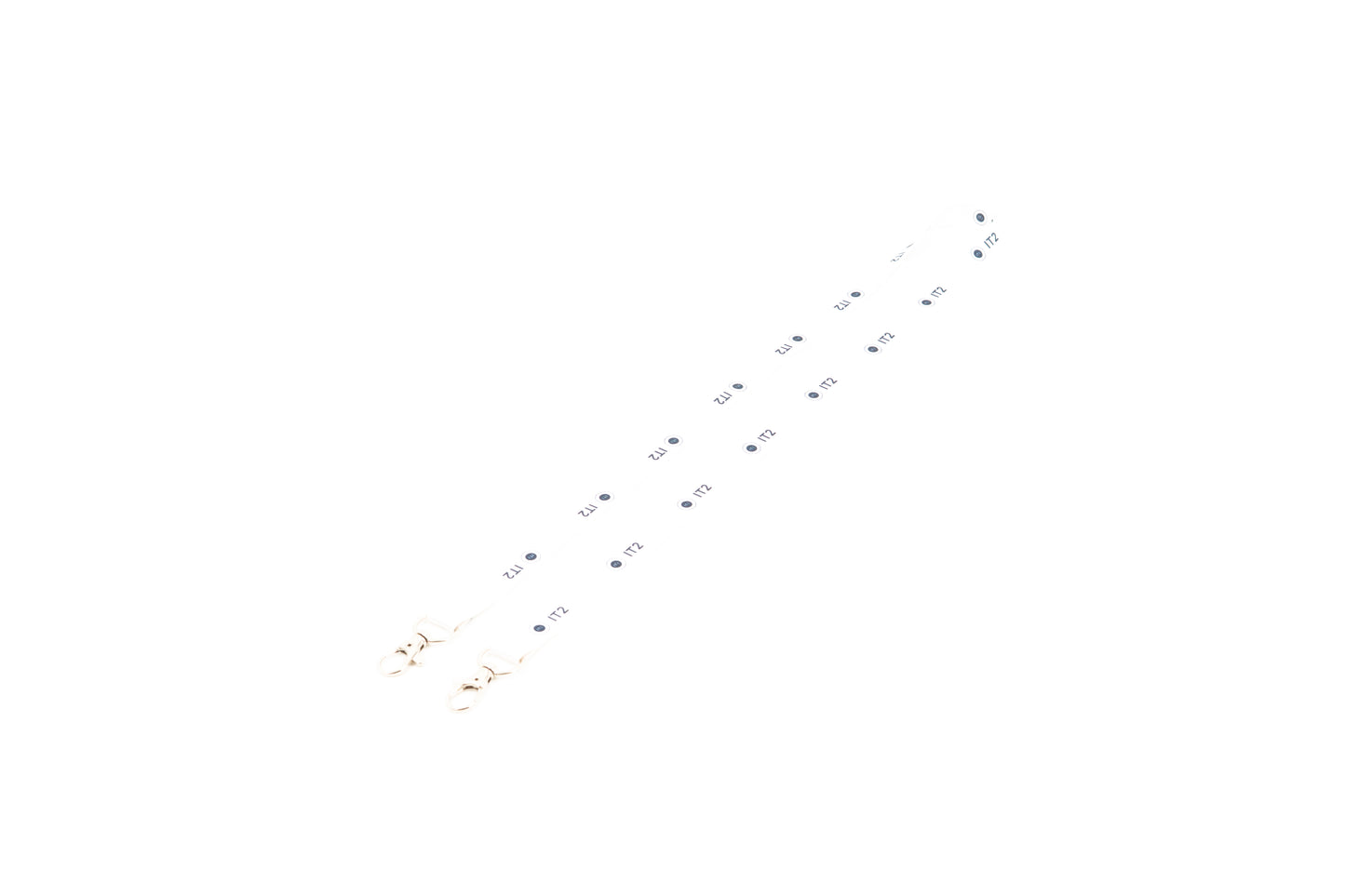 ION Treasury Lanyards (Munich Connection 2024)