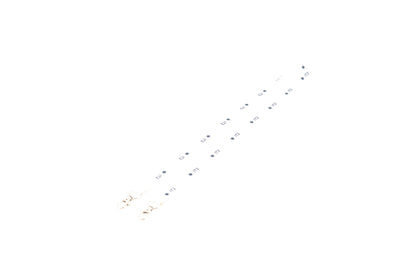 ION Treasury Lanyards (Munich Connection 2024)