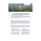 ION - Commodities - Commodities - Case Study (Raizen)