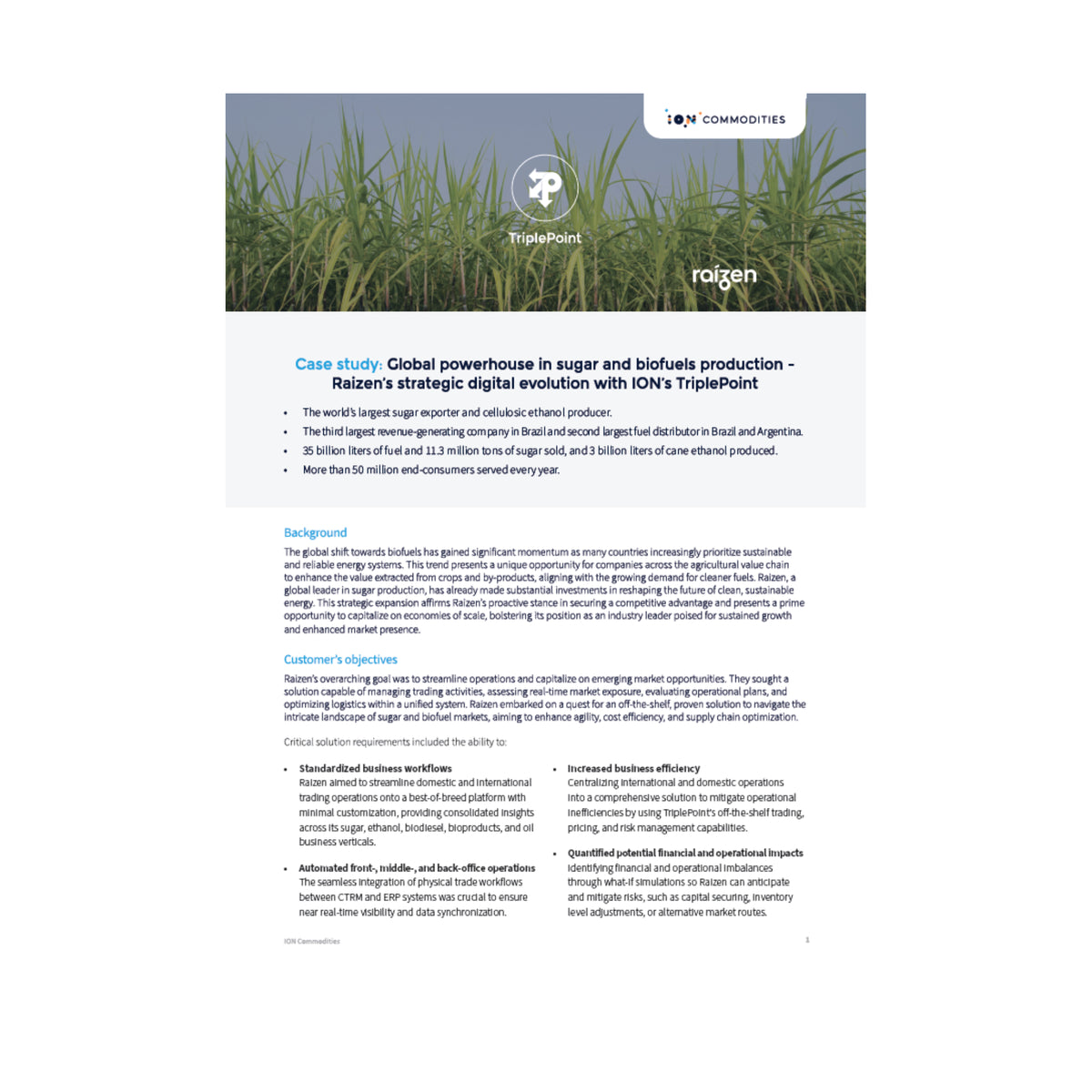 ION - Commodities - Commodities - Case Study (Raizen)